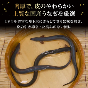 ひつまぶしセット 1人前 自宅で簡単 【うなぎ ひつまぶし 鰻】