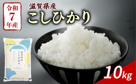 こしひかり 白米10kg コシヒカリ (令和7年産米)