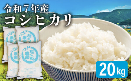 先行予約 令和7年産 こしひかり 5kg×4袋（20kg） 新米 米 精米