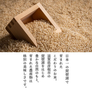 こしひかり 玄米 15kg 令和7年産 彦根市 玄米