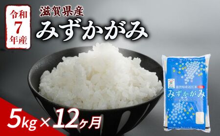 【12ヶ月定期便】 みずかがみ 5kg 令和7年産 ミズカガミ 定期便 お米 米