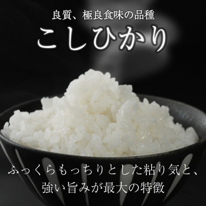【R7年産新米予約】【6ヶ月定期便】 こしひかり 5kg×6回 白米 精米 JA東びわこ 滋賀 彦根(2025年10月より発送予定)