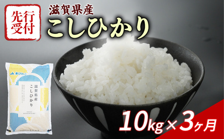 【3ヶ月定期便】 《先行受付》 こしひかり 10kg 令和7年産 コシヒカリ 定期便 お米 米