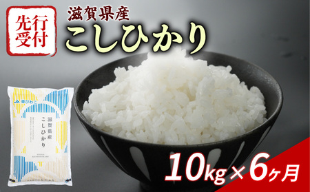 【6ヶ月定期便】 《先行受付》 こしひかり 10kg 令和7年産 コシヒカリ 定期便 お米 米
