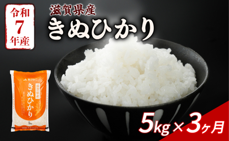 【3ヶ月定期便】きぬひかり 5kg 令和7年産 キヌヒカリ 定期便 お米 米