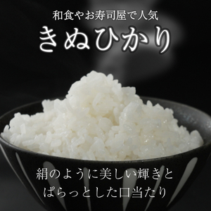 【6ヶ月定期便】きぬひかり 5kg 令和7年産 キヌヒカリ 定期便 お米 米