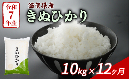 【12ヶ月定期便】 きぬひかり 10kg 令和7年産 キヌヒカリ 定期便 お米 米