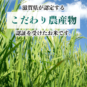 【令和7年産】 ミルキークイーン 5kg 白米 特別栽培米 精米 滋賀県 彦根市 ミルキークイーン