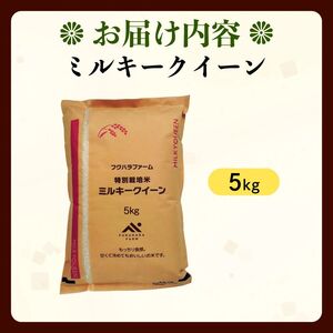【令和7年産】 ミルキークイーン 5kg 白米 特別栽培米 精米 滋賀県 彦根市 ミルキークイーン