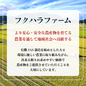 ミルキークイーン 5kg 有機JASオーガニック 令和7年産 ミルキークイーン
