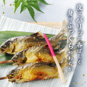 ＜あゆの店きむら＞ 滋賀県産 訳ありあゆの塩焼き 5尾