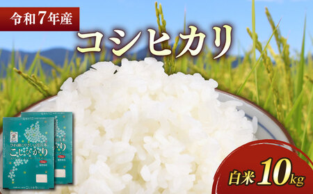 【白米】令和7年 彦根産 米 コシヒカリ 10kg（5kg×2袋）