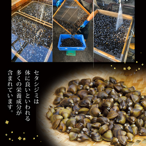 びわ湖産天然 しじみ味噌汁 10食入 ＜あゆの店きむら＞