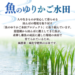 【令和7年産新米】減農薬米 近江米 きらみずき 白米 5kg ［ishidera01]  白米