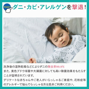 布団 クリーニング（2点）【最長6ヵ月の無料保管】クリーニング サービス