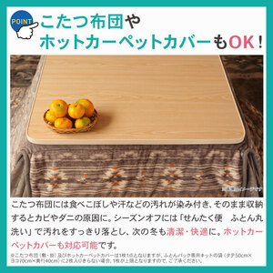 布団 クリーニング（2点）【最長6ヵ月の無料保管】クリーニング サービス