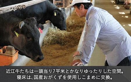 千成亭の近江牛肩ロースしゃぶしゃぶ 600g 近江牛和牛近江牛肩ロースしゃぶしゃぶ近江牛しゃぶしゃぶブランド黒毛和牛近江牛近江牛彦根近江牛三大黒毛和牛近江牛