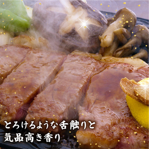 近江牛 ステーキセット (サーロインステーキ ヒレステーキ) 計660g 《千成亭 近江牛》 牛肉 和牛