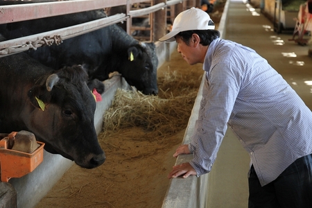 千成亭の近江牛三角バラ焼肉600g 近江牛和牛近江牛三角バラ焼肉近江牛三角バラ焼肉ブランド黒毛和牛近江牛三角バラ焼肉近江牛彦根近江牛バラ焼肉三大黒毛和牛近江牛