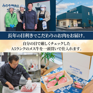 近江牛 A5ランク サーロインステーキ 200g×2枚 近江牛