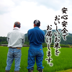 【令和7年度産】 ミルキークイーン 約4.5kg 白米 特別栽培米 精米 滋賀県 彦根市 ミルキークイーン