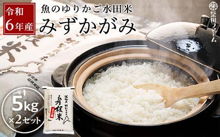 数量限定 令和6年産（新米）滋賀県認証！魚のゆりかご水田米「みずかがみ」白米5kg×2セット【柴田ファーム】