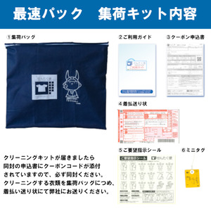 衣類 クリーニング（5点）【お預かりからお届けまで最短5営業日】クリーニング サービス