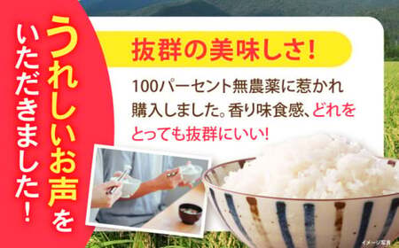 米 コシヒカリ JASオーガニック 10kg 白米 [AQBL003]こしひかり