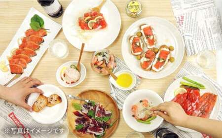 サーモントラウトたたき60g×5[AQAJ004]サーモン