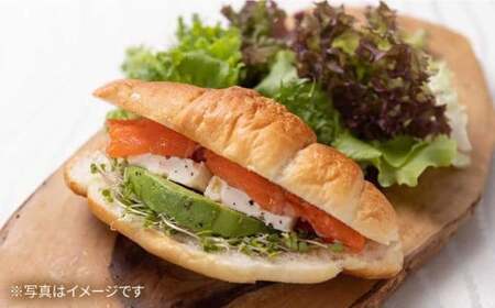 ペッパーサーモン100g×5[AQAJ008]スモークサーモン