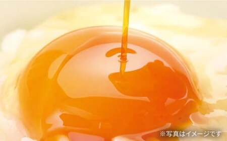 卓上醤油2本セット[AQBQ003] 醤油