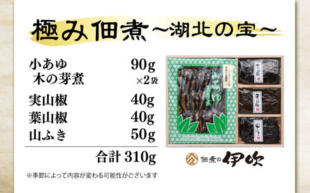 小あゆ木の芽煮90g2点山菜の佃煮3点 詰合[AQCA007] 佃煮
