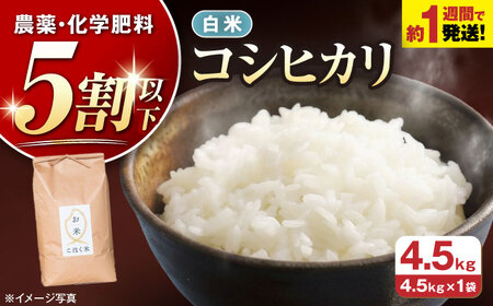白米 コシヒカリ 4.5kg / 白米 [AQAK002]