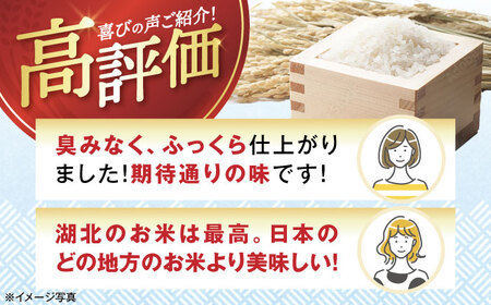 白米 コシヒカリ 4.5kg / 白米 [AQAK002]