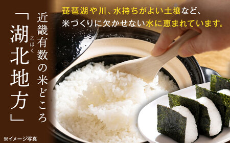 白米 コシヒカリ 4.5kg / 白米 [AQAK002]