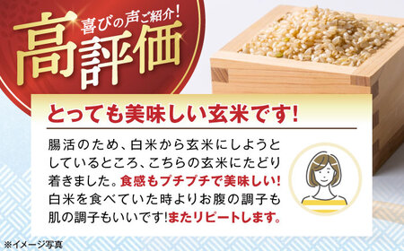 【スピード発送】【令和7年産新米】コシヒカリ  近江米  玄米10kg[AQAK003] 玄米