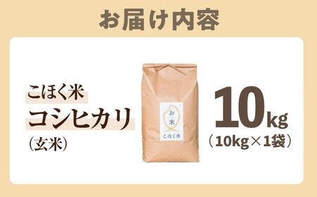 【スピード発送】【令和7年産新米】コシヒカリ  近江米  玄米10kg[AQAK003] 玄米
