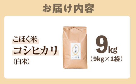 【スピード発送】コシヒカリ  近江米  白米9kg[AQAK004] 白米
