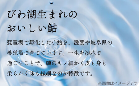 特選 びわこ 鮎 一夜干し 10枚(個別真空パック) 背骨なし[AQCC001] 鮎