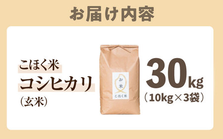 【スピード発送】コシヒカリ  近江米  玄米30kg[AQAK007] 玄米