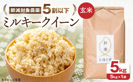 【スピード発送】【令和7年産新米】ミルキークイーン 玄米5kg[AQAK009] 玄米