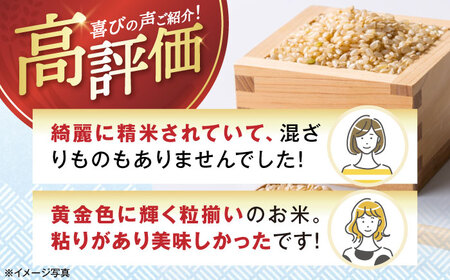 【スピード発送】【令和7年産新米】ミルキークイーン 玄米5kg[AQAK009] 玄米