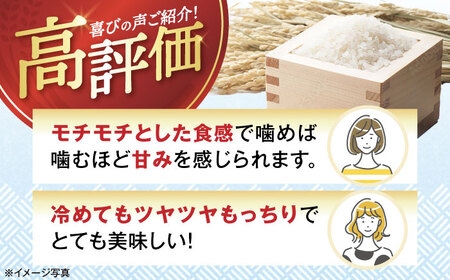 【スピード発送】ミルキークイーン 白米9kg[AQAK012] 白米