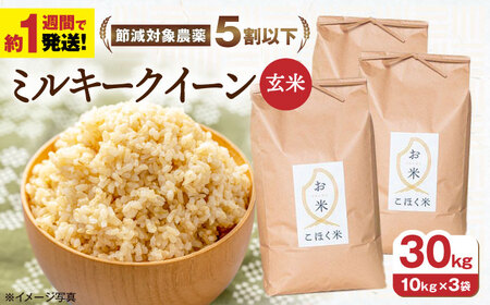 プクちゃん様専用♡令和6年秋収穫 【ミルキークイーン】玄米20㌔