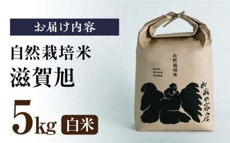 自然栽培米 滋賀旭  5kg 白米 [AQCP039] 白米