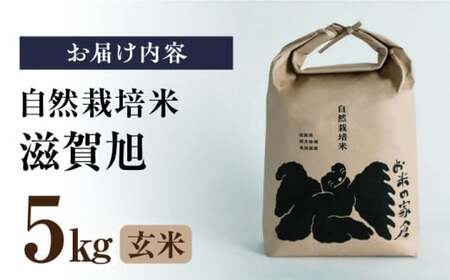 自然栽培米 滋賀旭  5kg 玄米 [AQCP040] 玄米