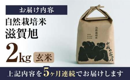 【全5回】自然栽培米滋賀旭　 2kg玄米×5回[AQCP043] 玄米