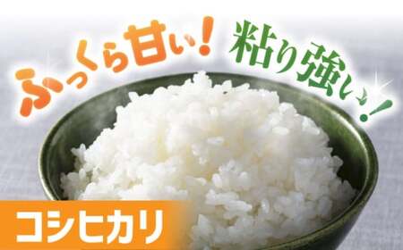 【スピード発送】【令和7年産新米】コシヒカリ無洗米300g×6個[AQAW009]