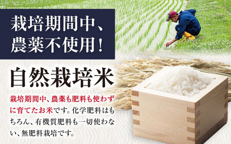 【全12回】自然栽培米滋賀旭 　5kg玄米×12回[AQCP051] 玄米