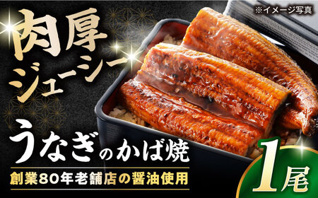 うなぎかば焼[AQCU003] 鰻